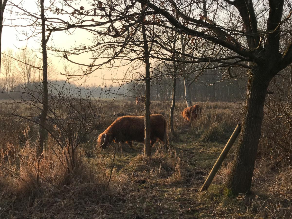 Carlton Oasis Hotel Spijkenisse Bagian luar foto